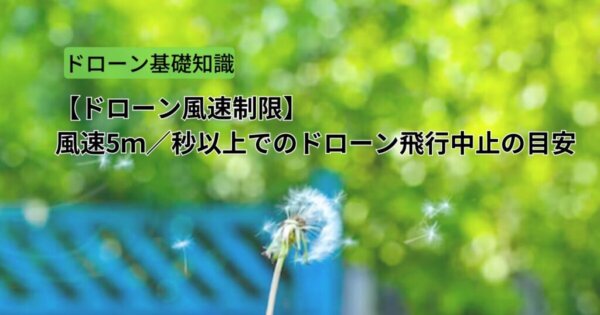 【ドローン風速制限】風速5m/秒以上でのドローン飛行中止の目安