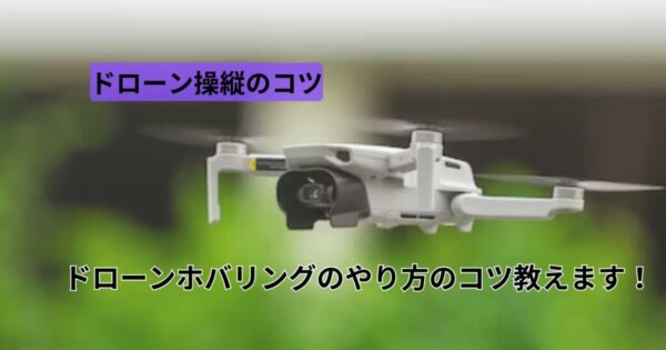 【ドローン初心者向け練習法】ホバリングのやり方のコツ教えます!