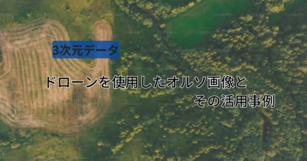 ドローンを使用したオルソ画像とその活用事例