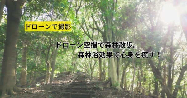 ドローン空撮で森林散歩。森林浴効果で心身を癒す！