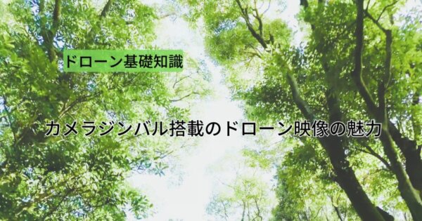 カメラジンバル搭載のドローン映像の魅力