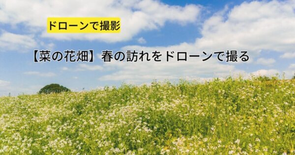 福岡県うきは市 【菜の花畑】春の訪れをドローンで撮る
