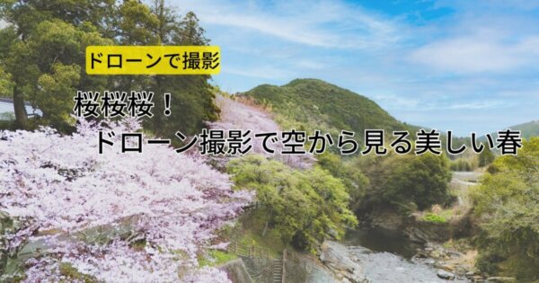 桜桜桜！ドローン撮影で空から見る美しい春