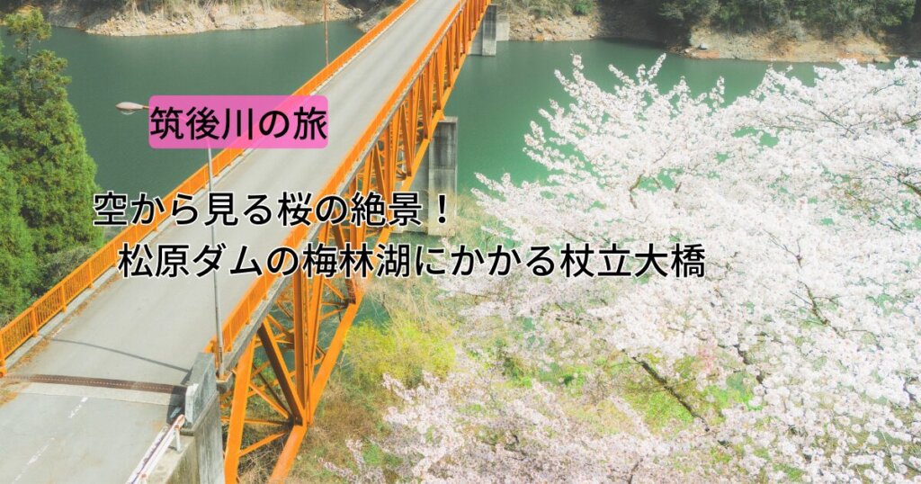空から見る桜の絶景！松原ダムの梅林湖にかかる杖立大橋